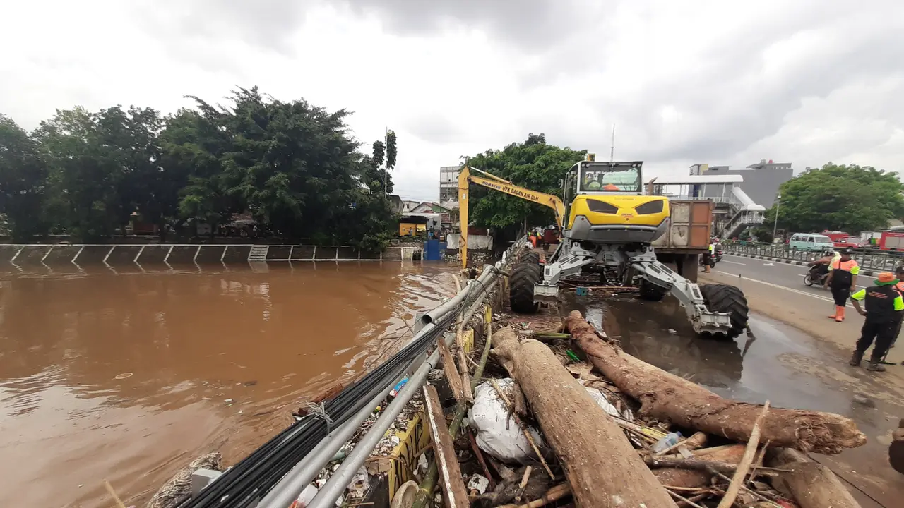 Penampakan sampah kayu gelondongan di sunga Ciliwung yang diangkut oleh petugas Dinas Lingkungan Hidup DKI Jakarta. (Lliputan6.com/Yopi Makdori)