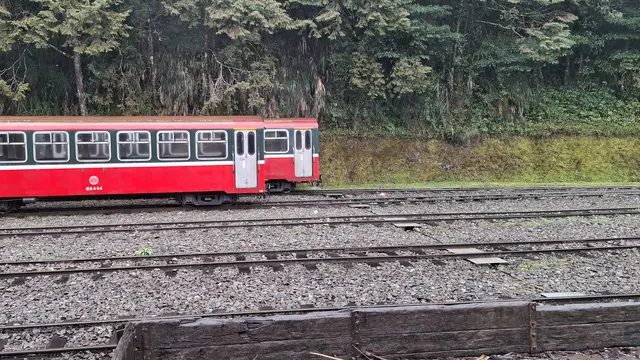 Kereta di Hutan Alishan Taiwan. (Foto: Liputan6.com/Agustina Melani)