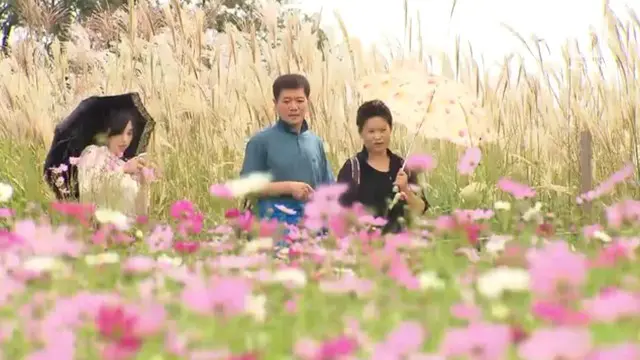 VIDEO: Asyiknya Festival Musim Gugur di Korea Selatan