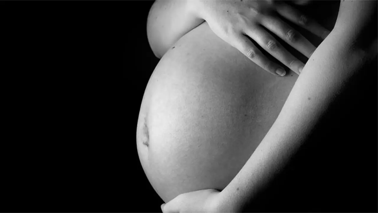hamil-anak-istri-131011a.jpg