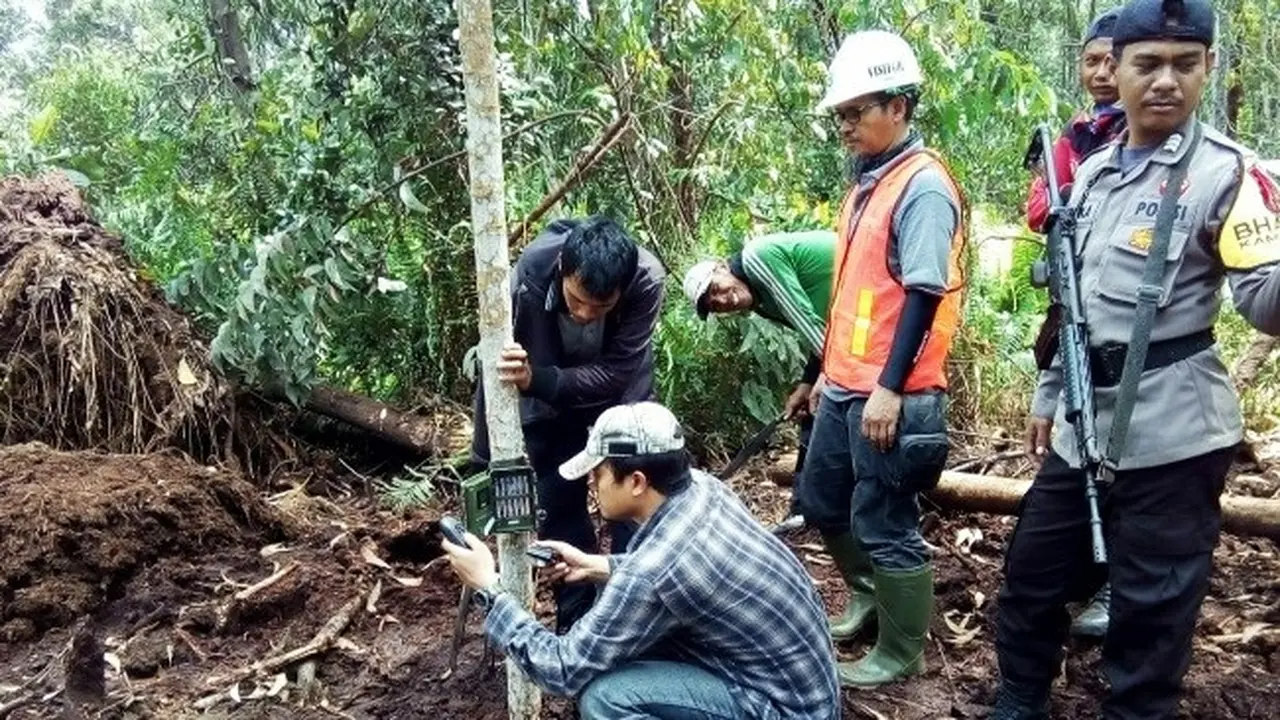 Petugas BBKSDA Riau bersama TNI dan Polri mengecek keberadaan harimau di Desa Tanjung Simpang, Indragiri Hilir.