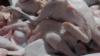 Ayam Kampung Lebih Sehat dari Broiler? Ahli Ungkap Beda Kandungan Gizinya