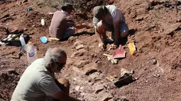 Gambar yang dirilis pada 20 Januari 2021 menunjukkan ahli paleontologi selama penggalian fosil yang ditemukan di barat daya Argentina.  Fosil tulang belulang tersebut diperkirakan berusia 98 juta tahun yang bagian-bagiannya saja seukuran manusia. (JOSE LUIS CARBALLIDO/CTyS-UNLaM/AFP)