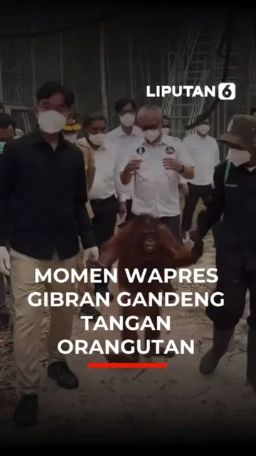 Momen Wapres Gibran Gandeng Tangan Orangutan