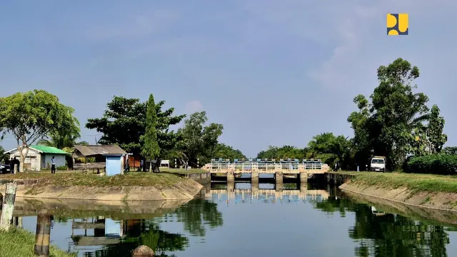 Kejar Swasembada Pangan, 1 Juta Ha Lahan Bakal Teraliri Irigasi