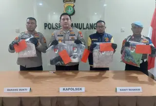 Anak Kandung Pukul Ibu Pakai Setrika Hingga Tewas, Langsung Teriak Tolong