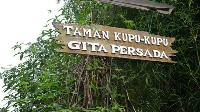 Taman kupu-kupu Gita Persada. Foto : (Istimewa).