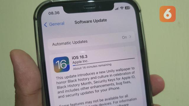 Update iOS 16.3