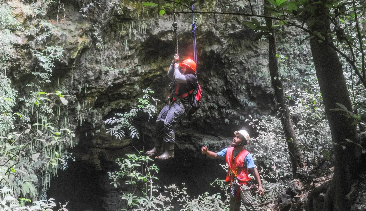 Gua Jomblang buka setiap hari pukul 09.00–14.00 WIB, namun wisatawan disarankan datang lebih pagi untuk registrasi dan antrean penurunan. Tiket masuk atau paket wisata dibanderol sekitar Rp 550.000 per orang, termasuk perlengkapan caving, pemandu, asuransi, dan makan siang. Tampak dalam foto, wisatawan didampingi pemandu goa saat turun untuk masuk ke dalam Goa Jomblang  di Gunung Kidul, Yogyakarta. (merdeka.com/Arie Basuki)