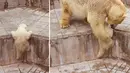 short desc