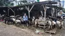 Pedagang hewan kurban menunggu pembeli di Pasar Kambing, Tanah Abang, Jakarta, Selasa (6/7/2021). Pedagang di Pasar Kambing mengungkapkan penjualan hewan kurban tahun ini mengalami penurunan akibat diberlakukannya PPKM Darurat. (merdeka.com/Iqbal S. Nugroho)