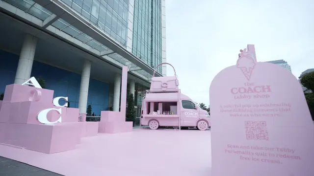 The Coach Tabby Tour