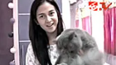 liputan6