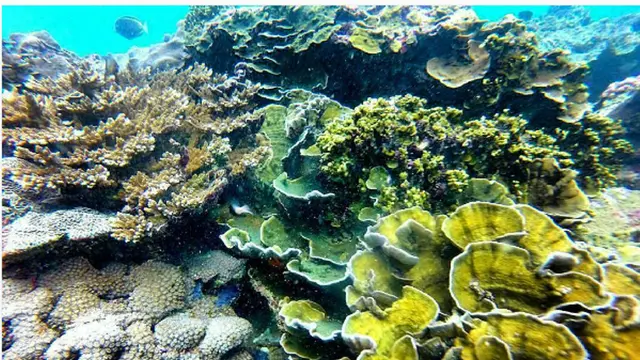 [reservasi]pantai wedi ombo