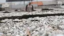 Ikan asin saat dijemur di Muara Angke, Jakarta, Rabu  (13/9). Produksi ikan asin yang merupakan salah satu usaha rumah tangga nelayan di daerah tersebut mengalami peningkatan hingga 50 persen saat musim kemarau. (Liputan6.com/Angga Yuniar)