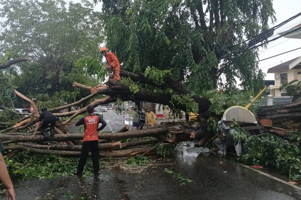 Pohon tumbang menutup jalan di Kecamatan Way Halim, Bandar Lampung. Foto : (Istimewa).