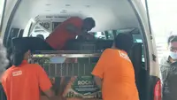 Dari Apartemen di India, Rocky si Orangutan Akhirnya Pulang ke Indonesia