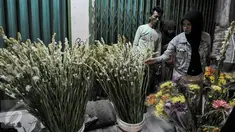 Warga memilih bunga hias di pasar kembang Pal Sigunung, Depok, Selasa (5/7/2016). Jelang Lebaran, warga berburu bunga sedap malam dan bunga hias lainya untuk pelengkap Idul Fitri.(Liputan6.com/Yoppy Renato)