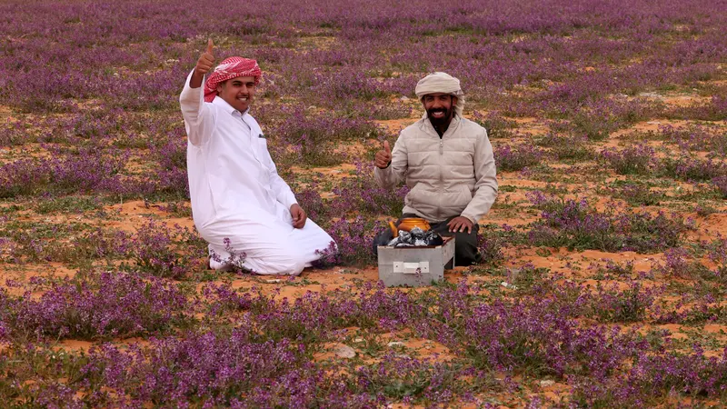 Gurun Pasir di Arab Saudi Berubah Jadi Padang Bunga Lavender