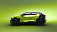 Nissan Juke Listrik (Paultan)