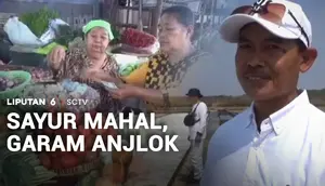 Sayur Mahal, Garam Anjlok