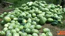 Citizen6, Riau: Masyarakat Dusun Sepadan Makmur, Desa Sei Meranti, Kecamatan Torgamba, Kabupaten Labuhan Batu Selatan, harus membayar 500 ribu untuk mengeluarkan hasil panen mereka lantaran terhalang oleh palang PT Sumatera Riang Lestari. (Pengirim: Nasir