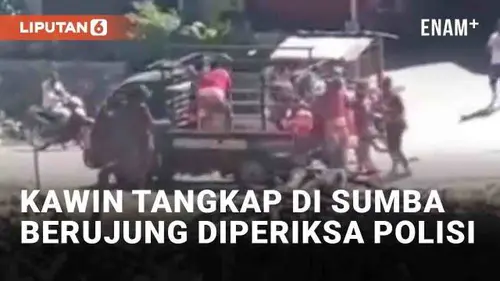 VIDEO: Viral Kawin Tangkap di Sumba Berujung Diperiksa Polisi