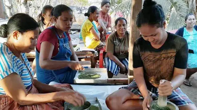 budidaya tanaman hortikultura dan usaha bisnis produk olahan hasil pertanian berbasis kelor ramah lingkungan di Kabupaten Nagekeo, Provinsi Nusa Tenggara Timur
