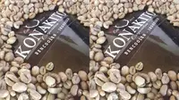 Kebun Kopi Tua Andalan Rakyat Kepahiang