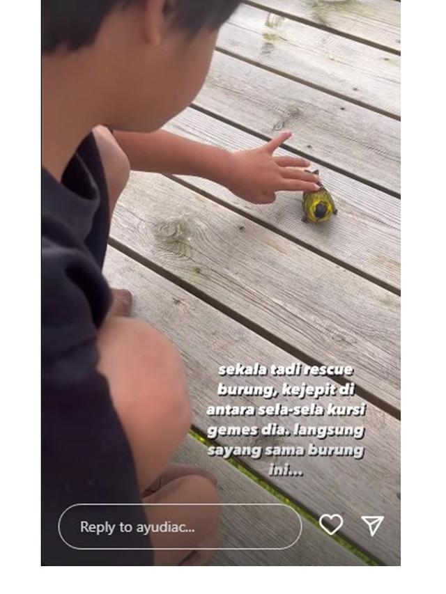 7 Momen Liburan Ayudia Bing Slamet dan Keluarga di Norwegia, Penuh Kehangatan