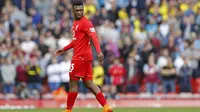 Hodgson: Sturridge Tak Cukup Fit Bela Inggris