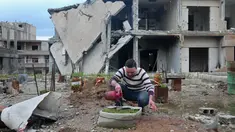 Seorang pria yang bernama Mohamed Ataya atau yang dikenal sebagai "Abu Maher" menyiram tanaman di atap bangunan yang rusak di wilayah Ghouta timur di ibukota Damaskus, Suriah (3/3). (AFP/Amer Almohibany)