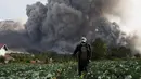 Seorang warga menyemprotkan pestisida pada tanamannya saat Gunung Sinabung melontarkan awan panasnya di Desa Tiga Serangkai, Karo, Sumatera Utara, Rabu (24/6/2015). (REUTERS/Beawiharta)