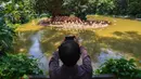 Pengunjung memotret flamingo di Taman Safari Chimelong, Guangzhou, Provinsi Guangdong, China, Kamis (30/4/2020). Taman Safari Chimelong kembali dibuka untuk pengunjung dengan menerapkan langkah-langkah ketat pencegahan pandemi COVID-19. (Xinhua/Liu Dawei)