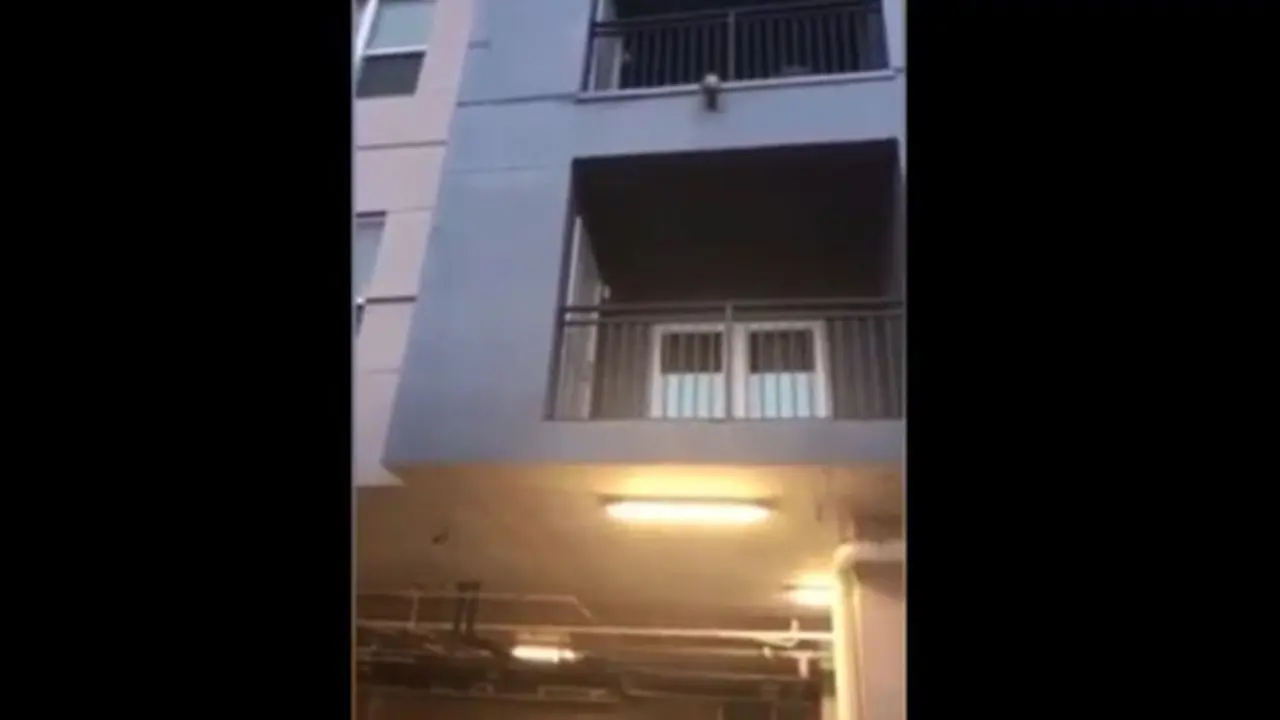 Anjing yang tergantung di balkon lantai 3