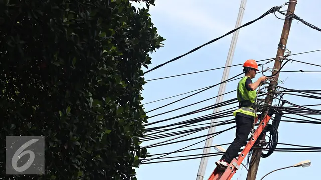 20160226-Jaringan-Ilegal-di-Tiang-Listrik-Jakarta-IA