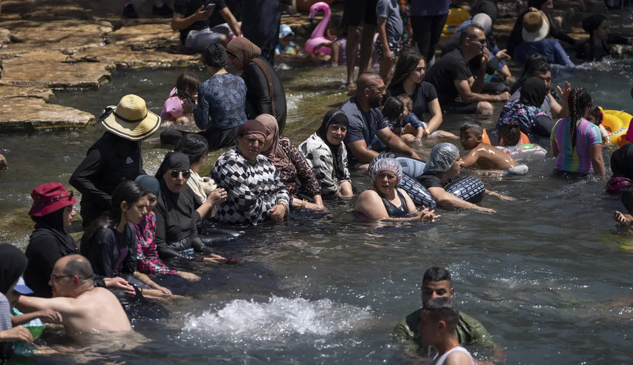 <p>Taman nasional ini mempunyai kolam mata air hangat. (AP Photo/Ohad Zwigenberg)</p>
