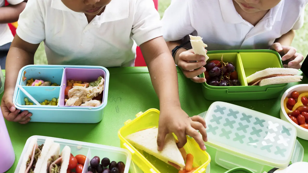 Cuma Punya Waktu Sebentar? Ini Inspirasi Menu Bekal Sekolah yang Bergizi