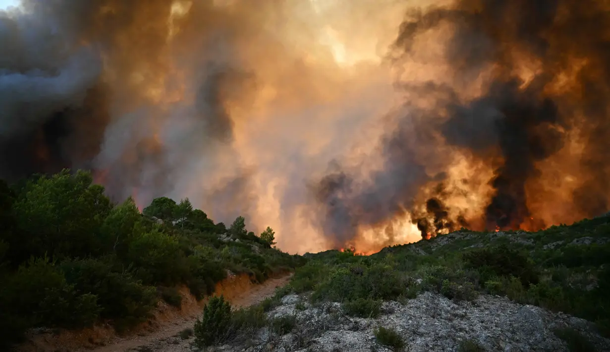 Diketahui, kebakaran hutan di Prancis telah menewaskan satu orang dan melukai sembilan lainnya serta menghanguskan 11.000 hektar lahan. (Lionel BONAVENTURE/AFP)