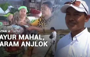 Sayur Mahal, Garam Anjlok