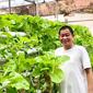 Ignasius Jonan membagikan kegiatannya memanen sayuran dari berkebun hidroponik di rumah. (dok. Instagram @ignasius.jonan/https://www.instagram.com/p/CIKvVYqpk9J/)