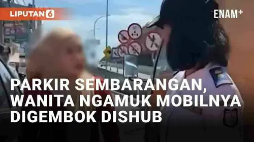 VIDEO: Viral Wanita Ngamuk Saat Mobilnya Digembok Dishub Makassar, Berawal dari Parkir Sembarangan