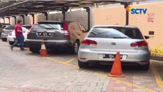 Proses lelang akan digelar di Gedung Jakarta Convention Center (JCC), pada pukul 13.30 WIB di ruang cendrawasih, Jakarta Pusat.