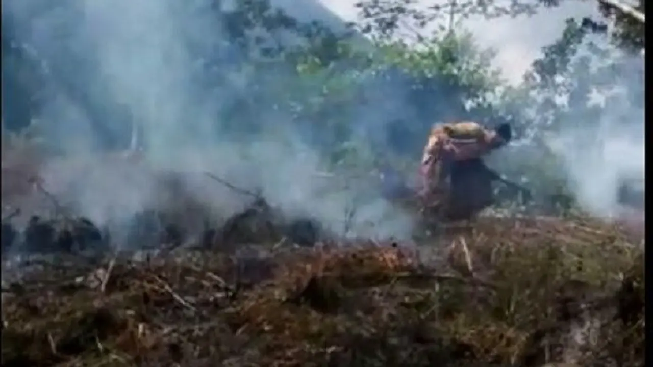 Suami Pembakar Hutan Biarkan Istri Dikepung Aktivis Lingkungan