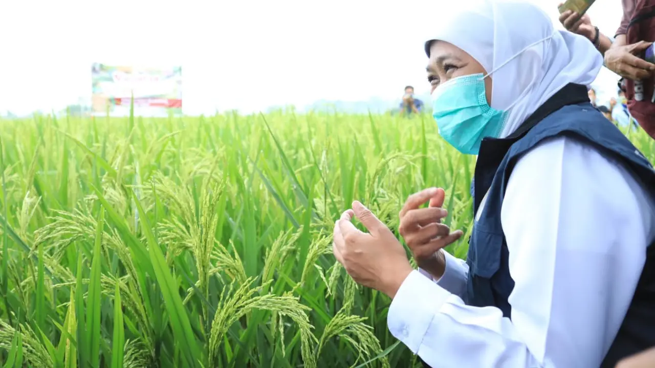 Gubernur Jatim  Khofifah Indar Parawansa. (Dian Kurniawan/Liputan6.com)