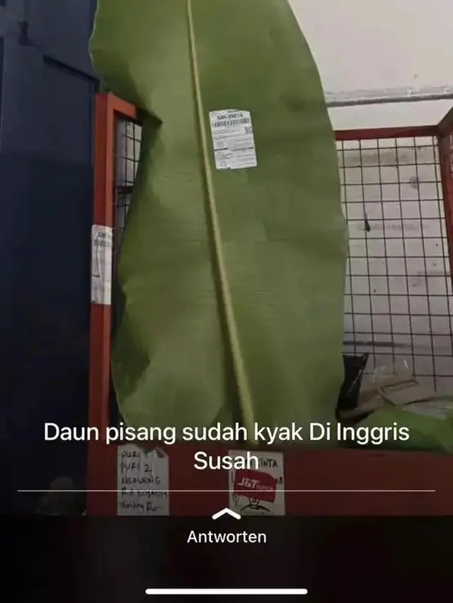 7 Potret Paket Beli Barang Online Ini Absurd Banget, Bikin Tepuk Jidat