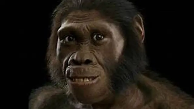 Ilustrasi Meganthropus Paleojavanicus (Sumber : Cerdika)