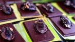 Cokelat bertabur kecoa Madagaskar ditawarkan di sebuah pasar di Mexico City, Meksiko, Minggu (10/6). Sejumlah restoran dan pasar di Mexico City menawarkan hidangan tak biasa seperti cacing, kecoa, serangga, dan telur semut. (Ronaldo SCHEMIDT/AFP)