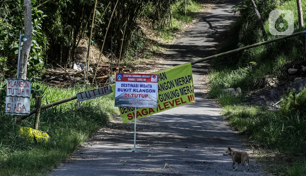 Aktivitas warga di bawah kaki Gunung Merapi, Desa Glagaharjo, Cangkringan, Sleman, Jawa Tengah, Kamis (19/11/2020). Status Merapi sudah dinaikkan menjadi Siaga (level III) oleh Balai Penyelidikan dan Pengembangan Teknologi Kebencanaan Geologi (BPPTKG) sejak 5 November 2020. (Liputan6.com/JohanTallo)