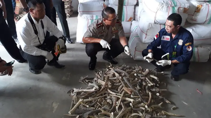 Polisi gerebek gudang satwa langka